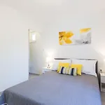 Petra Modern With Free Parking And Bbq *